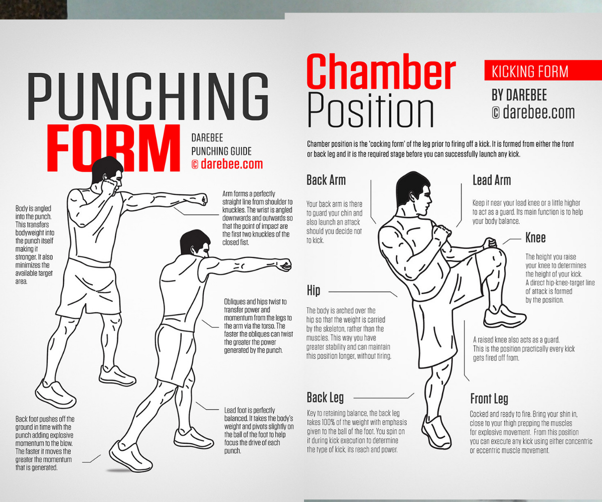 punch kick instruction