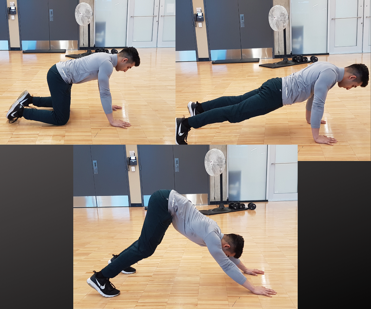 blog-move-ofthe-week-downward dog