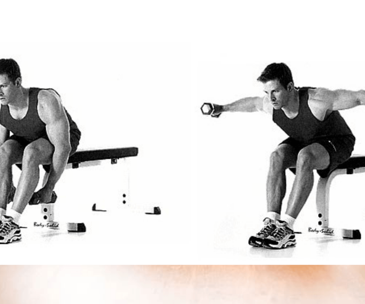 Seated reverse dumbbell fly instructions and video